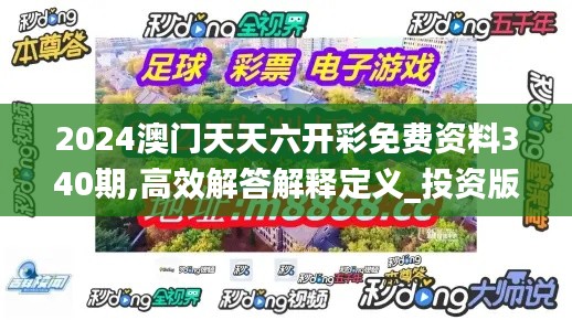 2024澳门天天六开彩免费资料340期,高效解答解释定义_投资版2.976-9