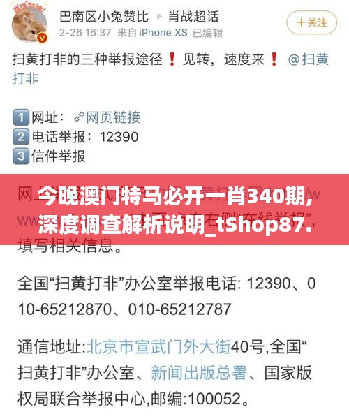 今晚澳门特马必开一肖340期,深度调查解析说明_tShop87.498-2