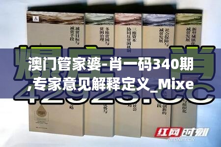 澳门管家婆-肖一码340期,专家意见解释定义_Mixed19.278-4