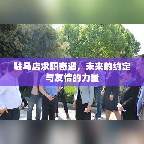 驻马店求职奇遇，未来约定与友情力量之旅