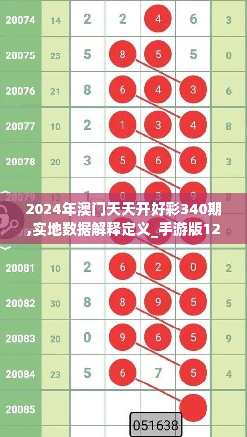 2024年澳门天天开好彩340期,实地数据解释定义_手游版126.230-8