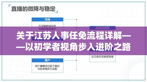 江苏人事任免流程详解，初学者视角步入进阶之路（2024年人事任免实例）