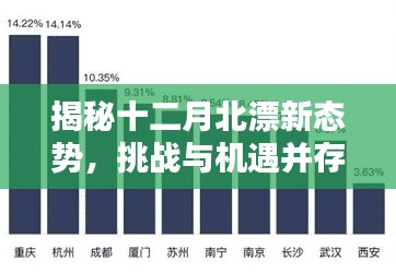 揭秘十二月北漂新态势，挑战与机遇并存的发展之路