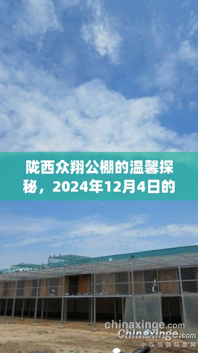 陇西众翔公棚探秘之旅，揭秘2024年12月4日的秘密消息