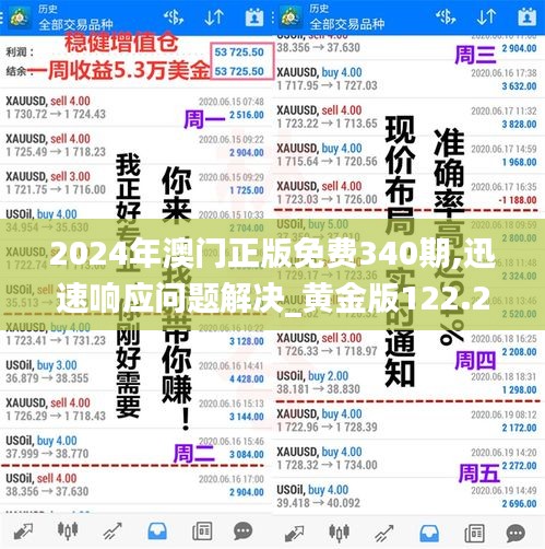 2024年澳门正版免费340期,迅速响应问题解决_黄金版122.275-6