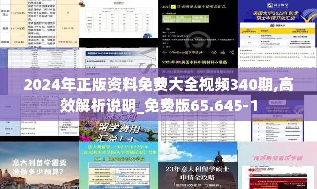 2024年正版资料免费大全视频340期,高效解析说明_免费版65.645-1