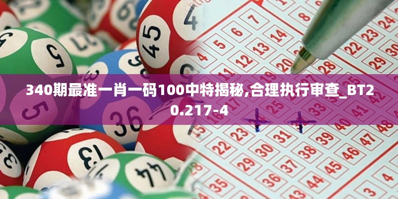 340期最准一肖一码100中特揭秘,合理执行审查_BT20.217-4