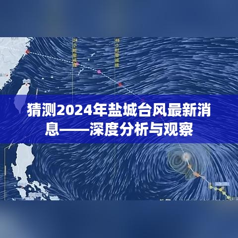 盐城台风最新动态，深度分析与观察（预测至2024年）