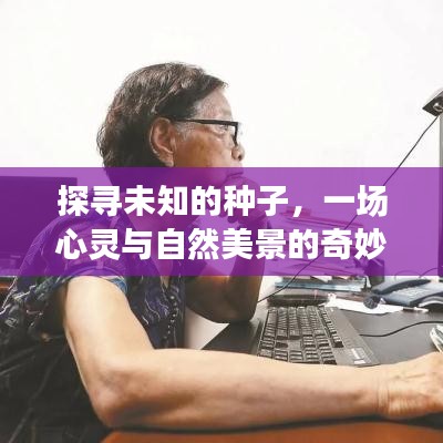 心灵与自然的奇妙之旅，探寻未知的种子之旅