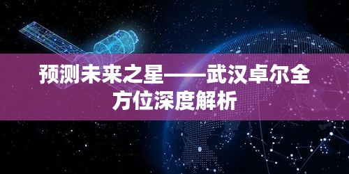 武汉卓尔全方位深度解析，预测未来之星崛起之路