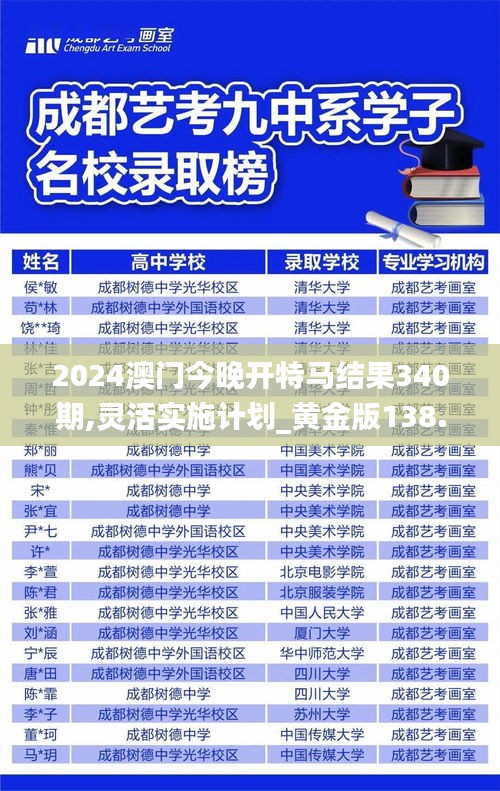 2024澳门今晚开特马结果340期,灵活实施计划_黄金版138.638-1