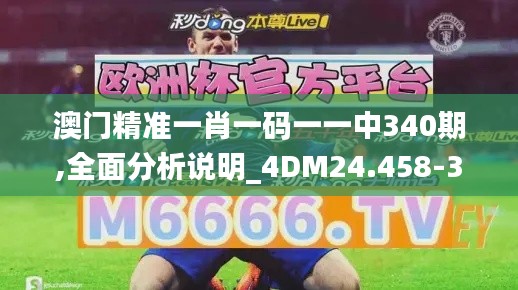 澳门精准一肖一码一一中340期,全面分析说明_4DM24.458-3