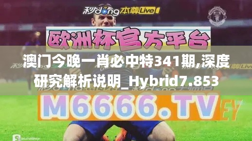 澳门今晚一肖必中特341期,深度研究解析说明_Hybrid7.853