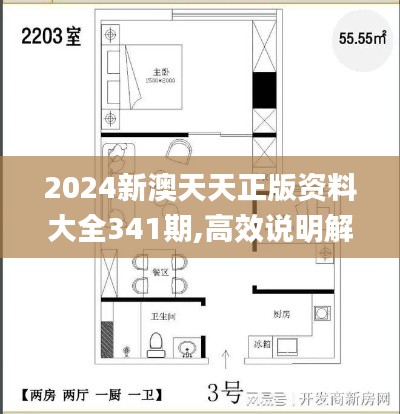 2024新澳天天正版资料大全341期,高效说明解析_X版3.222