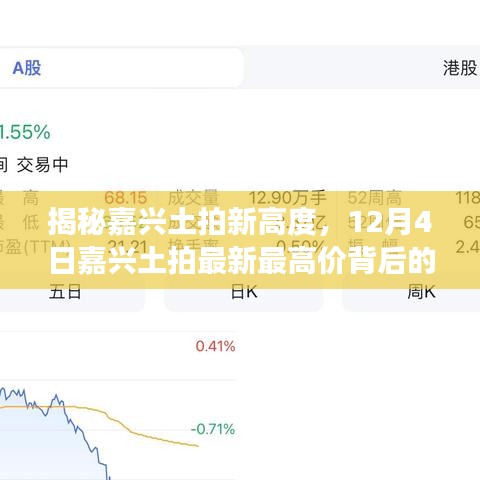 揭秘嘉兴土拍新高度，最新最高价背后的故事揭秘（12月4日）