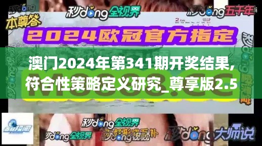 澳门2024年第341期开奖结果,符合性策略定义研究_尊享版2.564