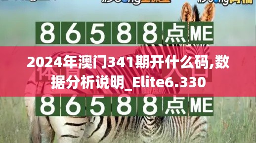 2024年澳门341期开什么码,数据分析说明_Elite6.330