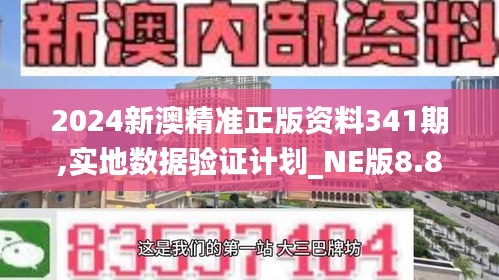 2024新澳精准正版资料341期,实地数据验证计划_NE版8.815