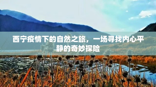 西宁疫情下的自然之旅，内心平静的奇妙探险之旅