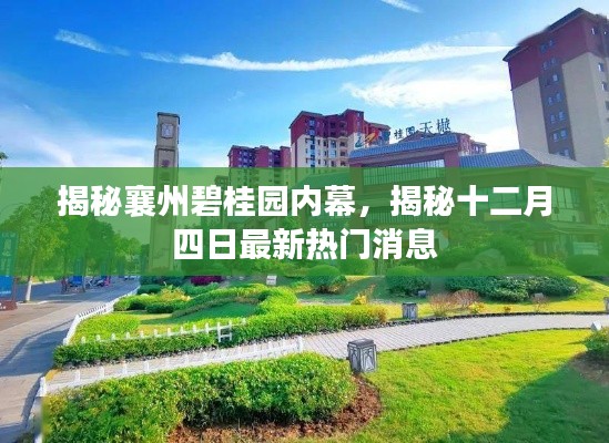 揭秘襄州碧桂园内幕，最新十二月四日热门消息曝光