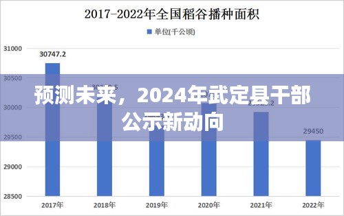 武定县干部公示未来动向预测，2024年展望