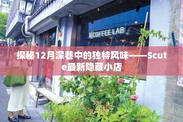 探秘深巷隐藏小店，Scute最新特色风味揭秘