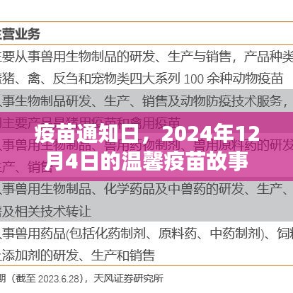 温馨疫苗故事，疫苗通知日回顾，2024年12月4日的记忆印记