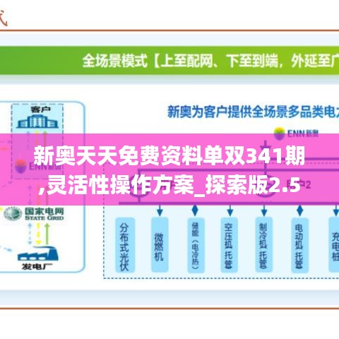 新奥天天免费资料单双341期,灵活性操作方案_探索版2.577