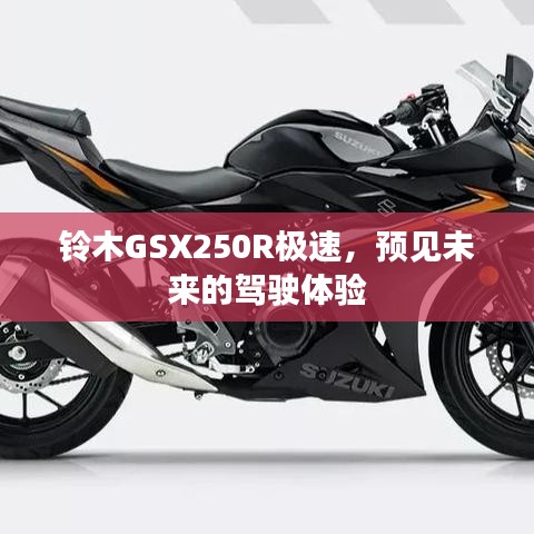 铃木GSX250R，极速驾驶，预见未来之旅