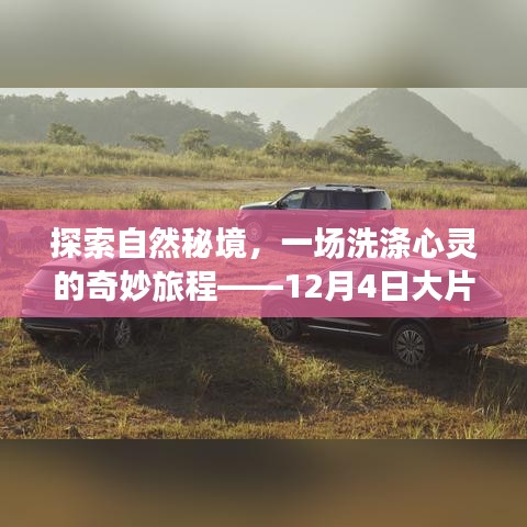 探索自然秘境，心灵洗涤之旅——领略震撼自然的绝美风光大片