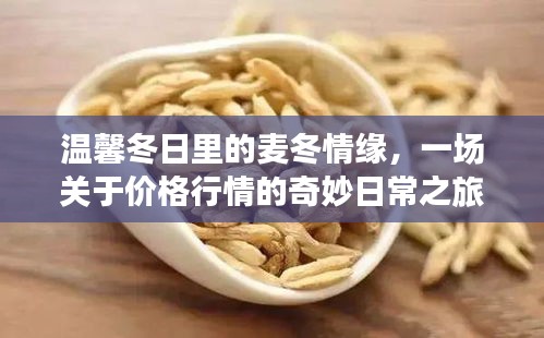 麦冬情缘，冬日行情之旅的奇妙日常