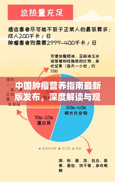 中国肿瘤营养指南最新版发布，深度解读与观点阐述报告