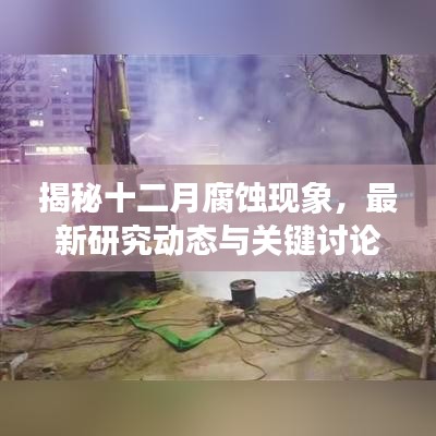 揭秘十二月腐蚀现象，最新研究动态与关键讨论要点解析