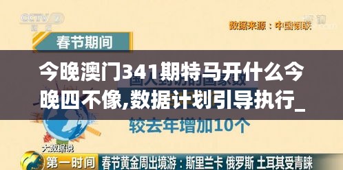 今晚澳门341期特马开什么今晚四不像,数据计划引导执行_Phablet9.637