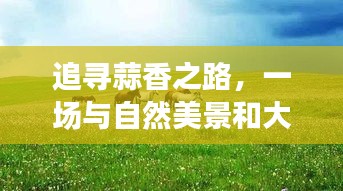 2024年12月7日 第28页