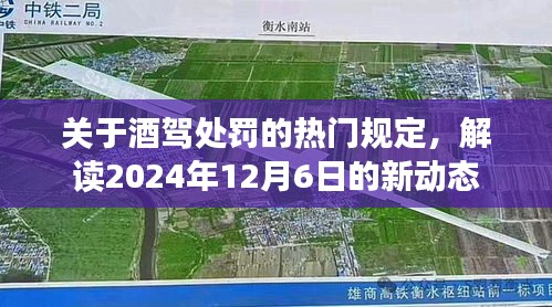 解读酒驾处罚新动态，2024年酒驾处罚规定详解，新动态下的酒驾处罚趋势分析