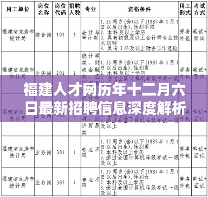 福建人才网十二月六日最新招聘信息深度解析