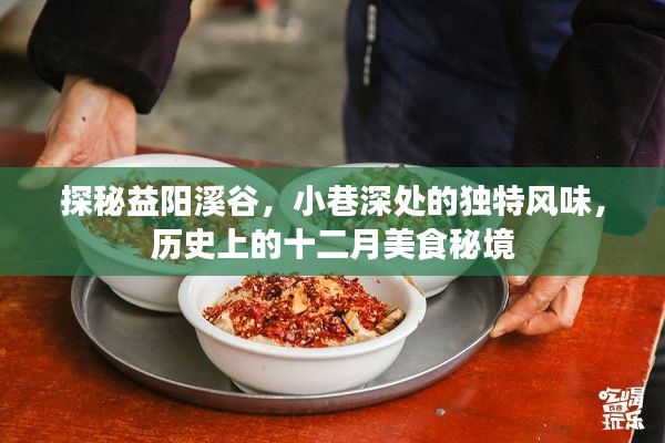 探秘益阳溪谷深处的十二月美食秘境，小巷风味与历史印记