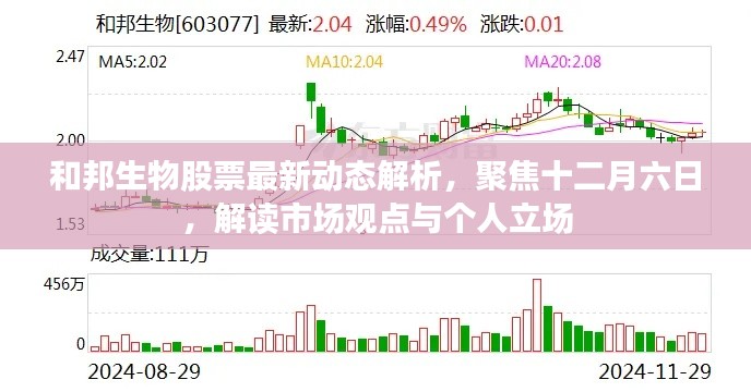 和邦生物股票最新动态解析，十二月六日市场观点与个人立场聚焦