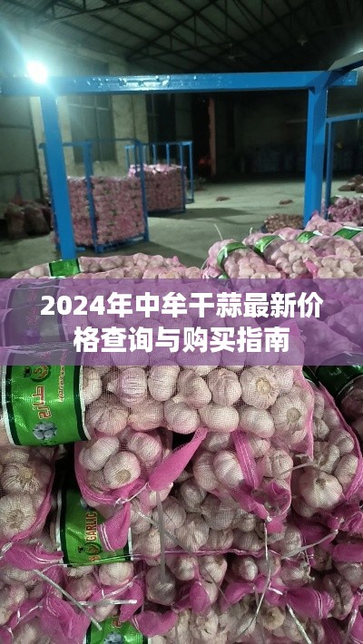 2024年中牟干蒜最新价格查询与购买指南