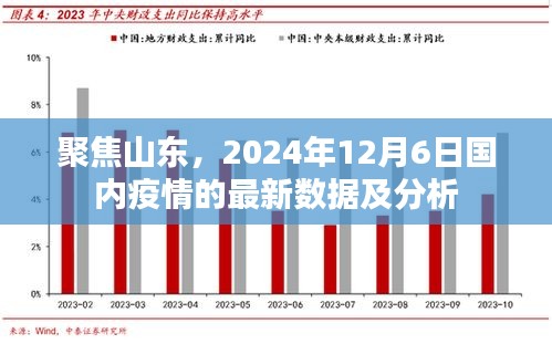 山东疫情聚焦，2024年12月6日最新数据与深度分析