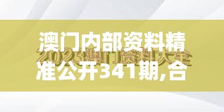 澳门内部资料精准公开341期,合理化决策评审_Hybrid10.894