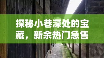 探秘小巷深处的宝藏，新余热门急售二手房与独特小店全攻略