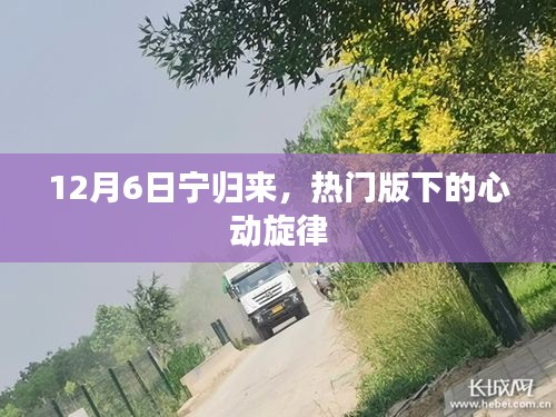 热门版下的心动旋律，宁归来，12月6日与你相伴