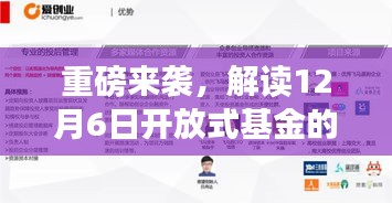 揭秘，12月6日开放式基金最新动态——背景深度解读与影响分析