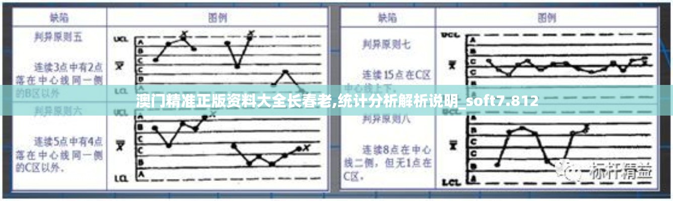 澳门精准正版资料大全长春老,统计分析解析说明_soft7.812