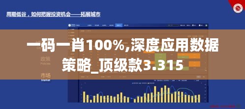 一码一肖100%,深度应用数据策略_顶级款3.315