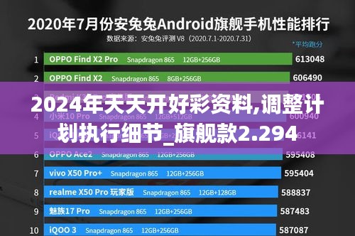 2024年天天开好彩资料,调整计划执行细节_旗舰款2.294