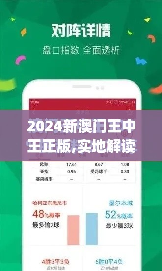 2024新澳门王中王正版,实地解读说明_mShop2.222