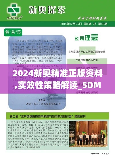 2024新奥精准正版资料,实效性策略解读_5DM1.246